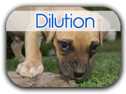 Dilution Chart for Dogs